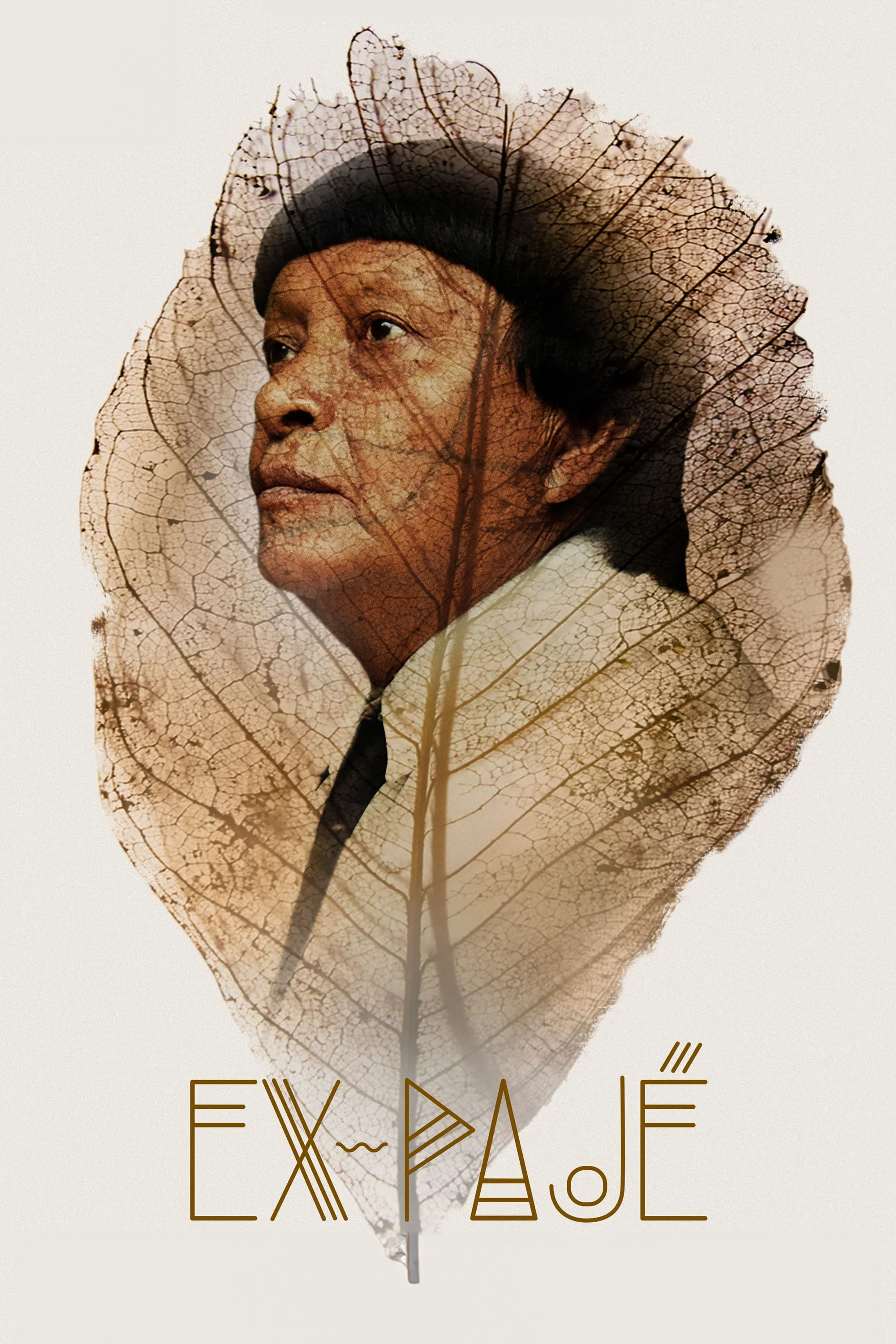 Ex-Pajé
