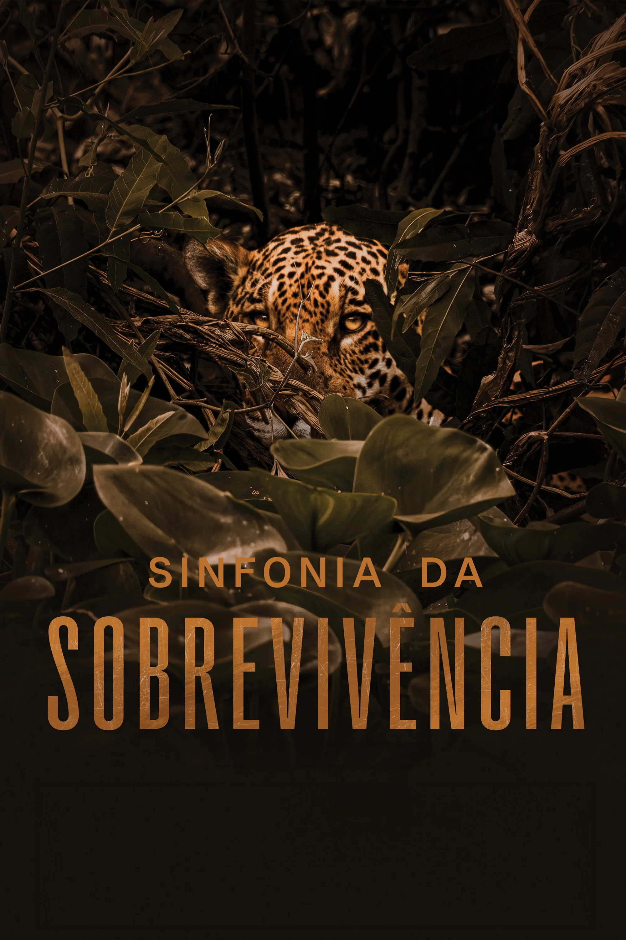 Sinfonia da Sobrevivência