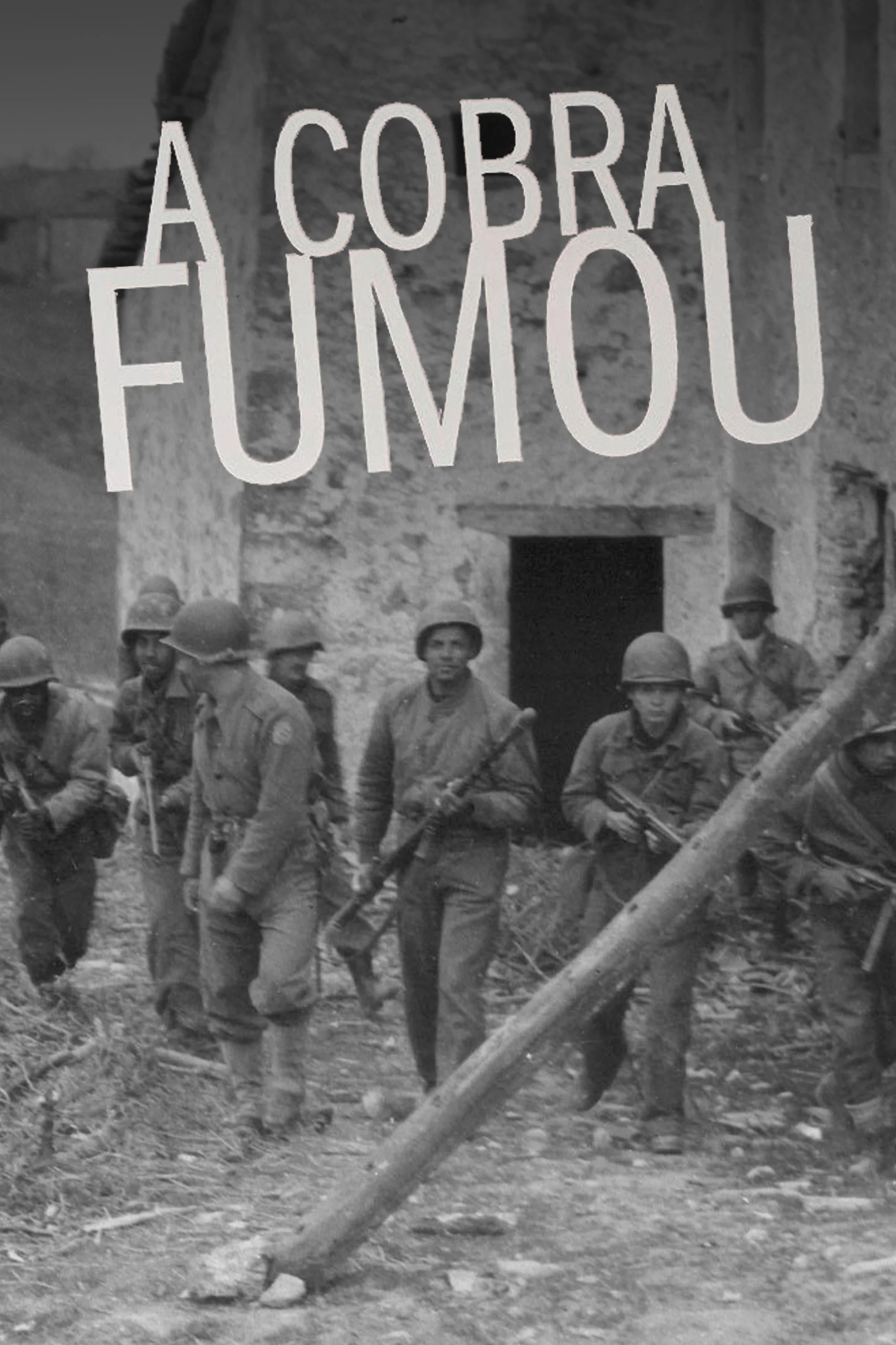 A Cobra Fumou